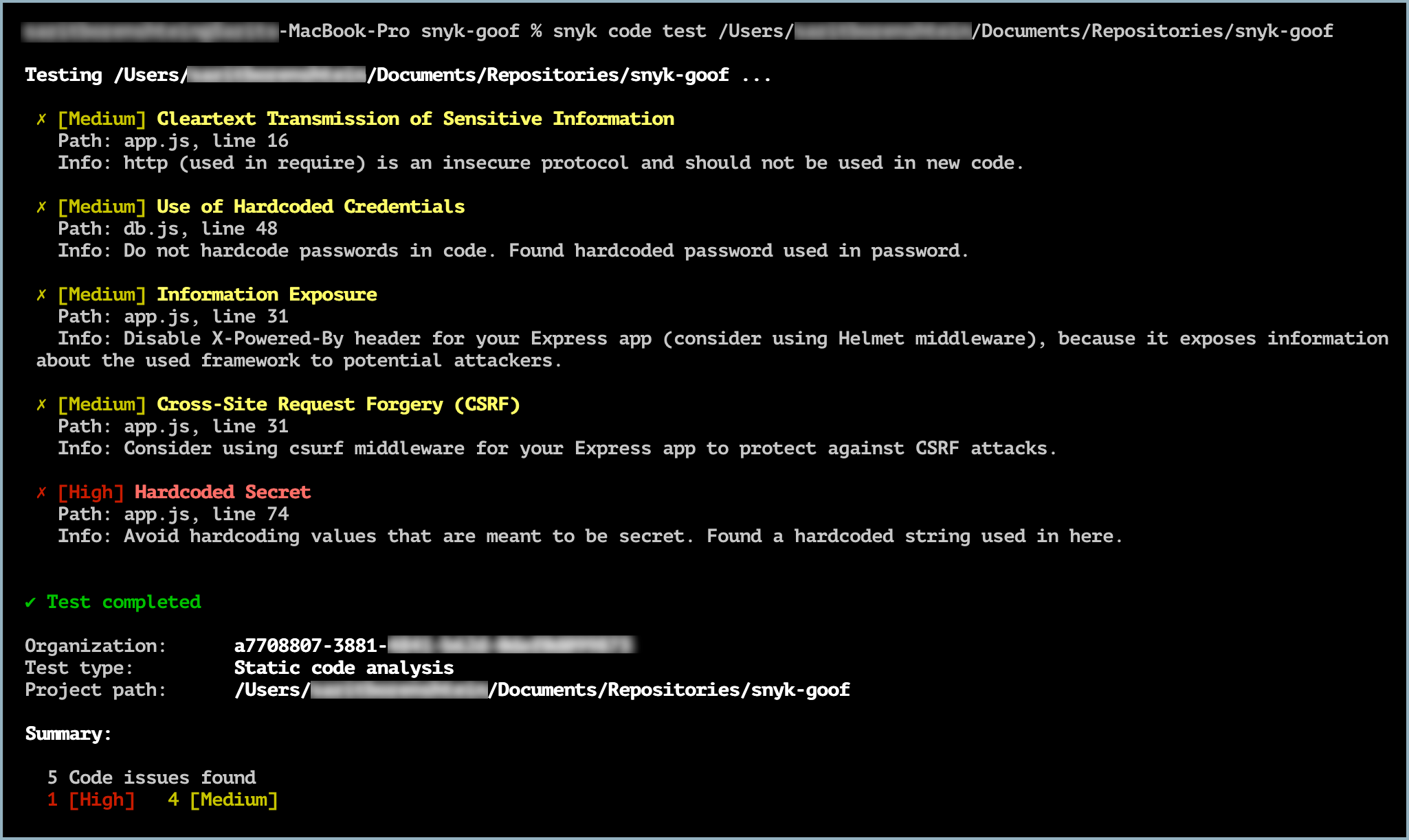 Example of Snyk Code CLI test results