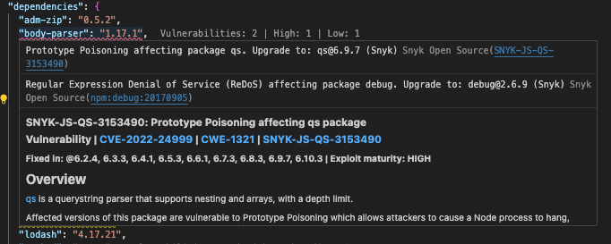 Vulnerabilities in npm package