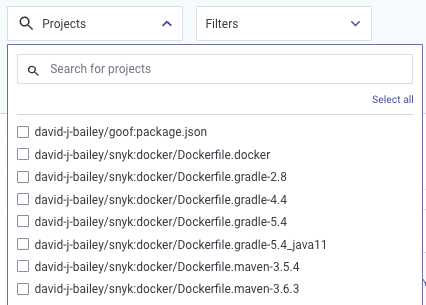 Filter reports on Project or vulnerability